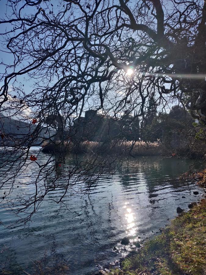 La finestra sul Brenta Lasino Exterior foto